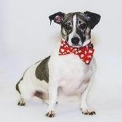 Patricia Commiskey's photo
