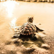 Danielle Moss's photo
