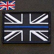 David Lodge's photo