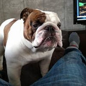 Brett Kurnitsky's photo