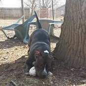 Franny Parker's photo