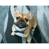 Pierre Pierre's photo