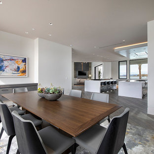 ラスベガスの巨大なコンテンポラリースタイルのLDKの画像 (白い壁、グレーの床、濃色無垢フローリング)