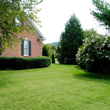 Landscaping Ideas