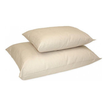 Naturepedic Organic Pillow