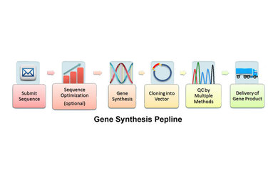 Gene synthesis