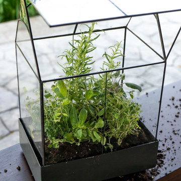 terrarium
