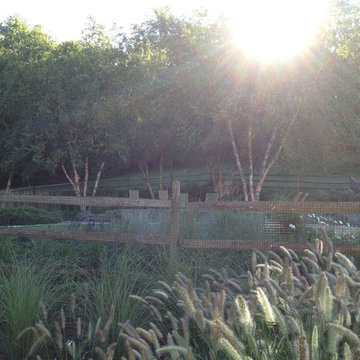 Yards