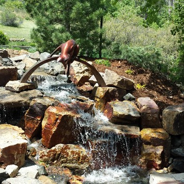 Foxy Colorado Stream