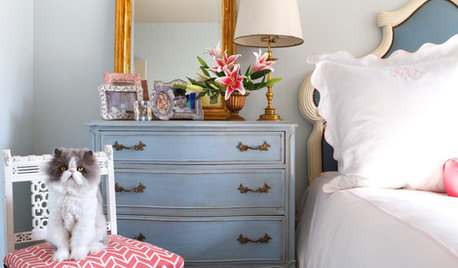 Fun Houzz: The Secrets of a Home That’s Cool for Cats