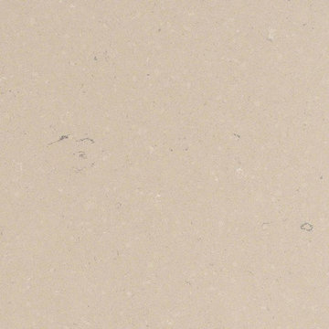 Fossil Taupe
