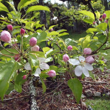 Blewett Acres Orchard & Edible Garden