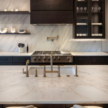 Tiger's Eye Contemporary Kitchen