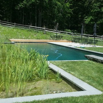 Ulster County New York Natural Swimming Pool.