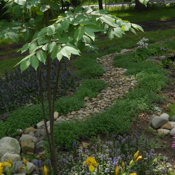 Dry stream-bed garden