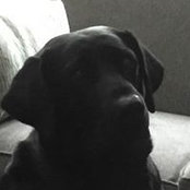Nannette Reed's photo