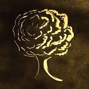 Lise Marceau's photo