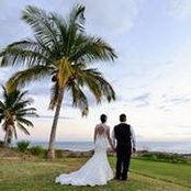 Andrea Rock-Mendes's photo