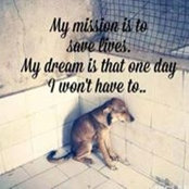 Tamara Rex's photo