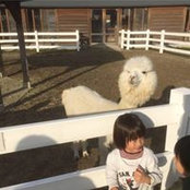 石口和's photo
