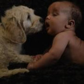 Foto de Chelsey Whitfield-Crittendon