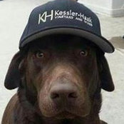 Dan Kessler's photo