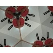 Joan Greay's photo