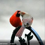 Gail Keckler's photo