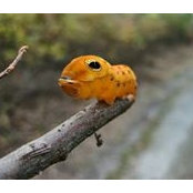 Di Liu's photo