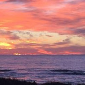 Anne Torsney's photo