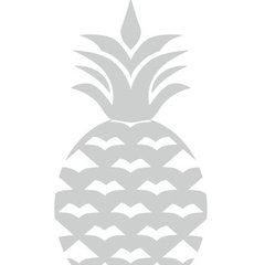 Pacific Dynamics Construction