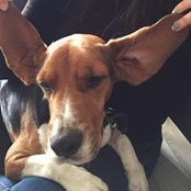 Amy Wei's photo