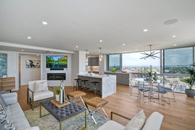 Example of a minimalist living room design in San Diego