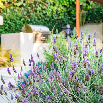Culver City - Backyard