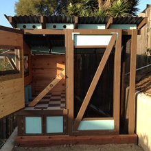Chicken Coop