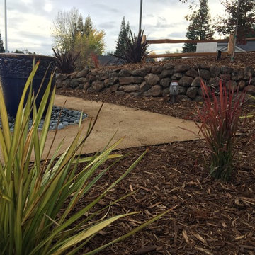 Contemporary Front Yard