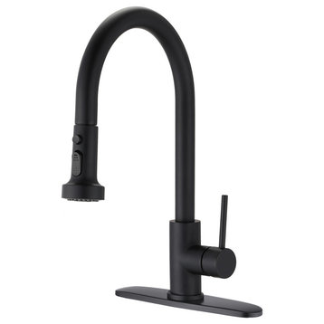 Single Handle Deck Mounted High Arc Pull Down Kitchen Faucet with Sprayer, Matte