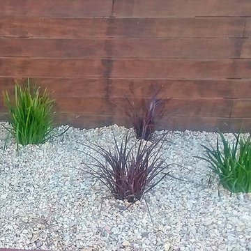 Gravel with Drought-tolerant Plants