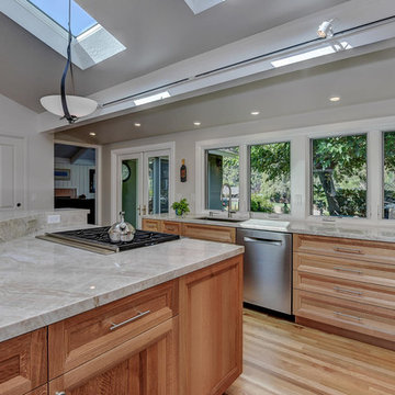 Kitchen Remodel- Almaden Valley