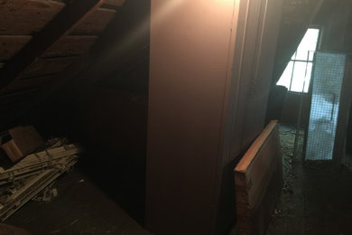 Attic and garage cleanup