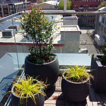 Penthouse in Certified Passive Apartment Building, Hoboken, NJ