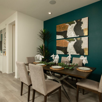 Coventry Homes - VERANDA 45'