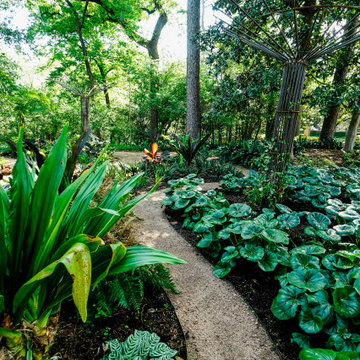 Rienzi Mansion - MFAH - Landscape Design & Installation