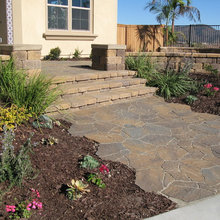 Front yard