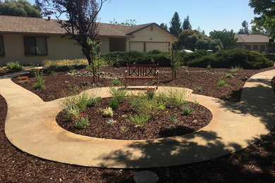 This is an example of a landscaping in San Francisco.