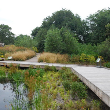 Garden Tour - Exploring Natives at the New York Botanical Garden