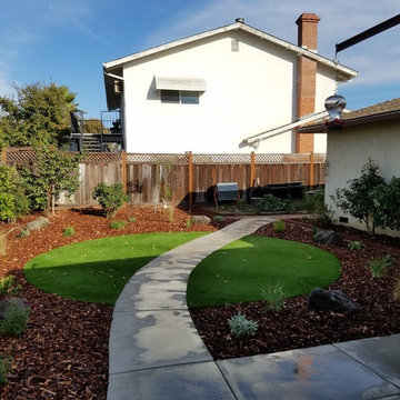 Drought Tolerant