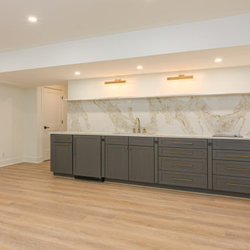 Biltmore Basement Renovation