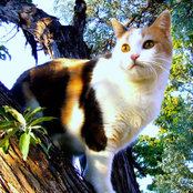 Kathy Foster's photo