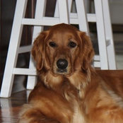 Foto de Anne Graceygolden
